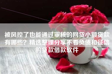 被风控了也能通过审核的网贷小额贷款有哪些？精选整理分享不看负债和征信的贷款借款软件