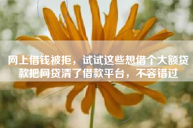 网上借钱被拒，试试这些想借个大额贷款把网贷清了借款平台，不容错过