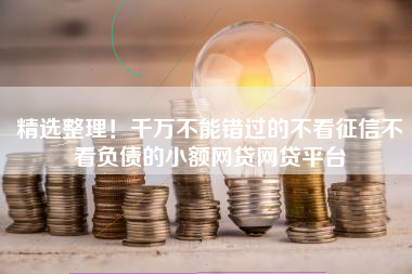 精选整理！千万不能错过的不看征信不看负债的小额网贷网贷平台