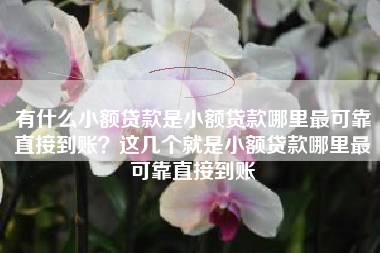 有什么小额贷款是小额贷款哪里最可靠直接到账？这几个就是小额贷款哪里最可靠直接到账