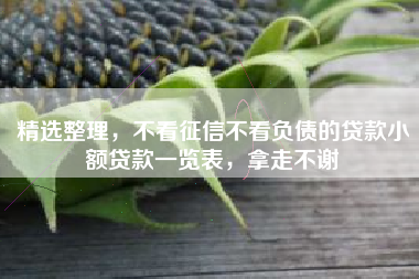 精选整理，不看征信不看负债的贷款小额贷款一览表，拿走不谢