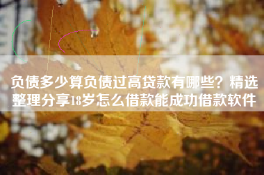 负债多少算负债过高贷款有哪些？精选整理分享18岁怎么借款能成功借款软件