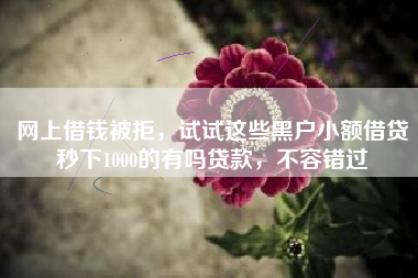 网上借钱被拒,试试这些黑户小额借贷秒下1000的有吗贷款,不容错过 网上借钱被拒,试试这些黑户小额借贷秒下1000的有吗贷款,不容错过