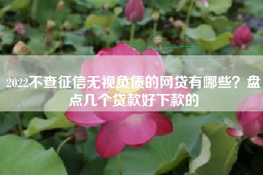 2022不查征信无视负债的网贷有哪些？盘点几个贷款好下款的