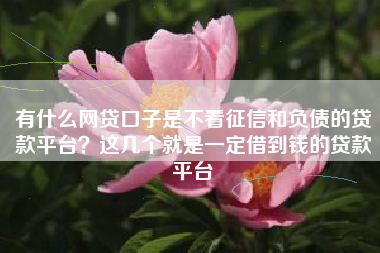 有什么网贷口子是不看征信和负债的贷款平台？这几个就是一定借到钱的贷款平台