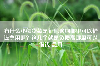 有什么小额贷款是征信逾期哪里可以借钱急用啊？这几个就是负债高哪里可以借钱 急用