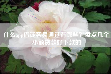 什么app借钱容易通过有哪些？盘点几个小额贷款好下款的