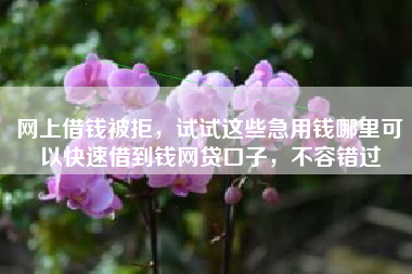 网上借钱被拒，试试这些急用钱哪里可以快速借到钱网贷口子，不容错过