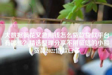 大数据很花又急用钱怎么贷款贷款平台有哪些？精选整理分享不用征信的小额贷款2022借款口子