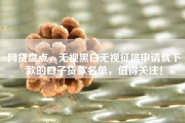 网贷盘点，无视黑白无视征信申请就下款的口子贷款名单，值得关注！