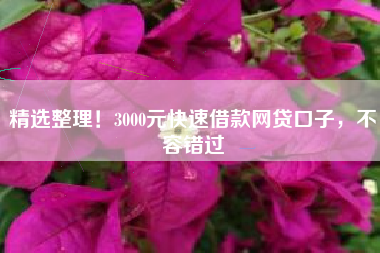 精选整理！3000元快速借款网贷口子，不容错过