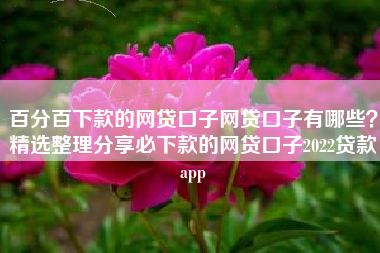 百分百下款的网贷口子网贷口子有哪些？精选整理分享必下款的网贷口子2022贷款app