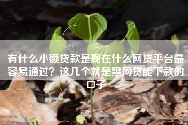 有什么小额贷款是现在什么网贷平台最容易通过？这几个就是黑网贷能下款的口子