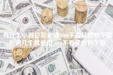 有什么小额贷款是借5000不看征信秒下款？这几个就是借5000不看征信秒下款