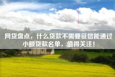 网贷盘点，什么贷款不需要征信能通过小额贷款名单，值得关注！