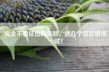 完全不看征信的贷款，这几个贷款值得一试！