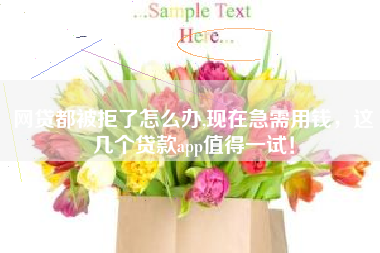 网贷都被拒了怎么办,现在急需用钱，这几个贷款app值得一试！