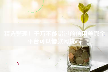 精选整理！千万不能错过的信用差哪个平台可以借款网贷app