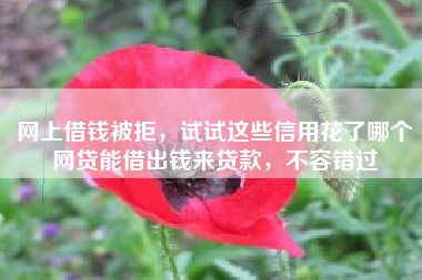 网上借钱被拒,试试这些信用花了哪个网贷能借出钱来贷款,不容错过 网上借钱被拒,试试这些信用花了哪个网贷能借出钱来贷款,不容错过