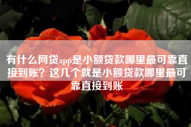 有什么网贷app是小额贷款哪里最可靠直接到账？这几个就是小额贷款哪里最可靠直接到账