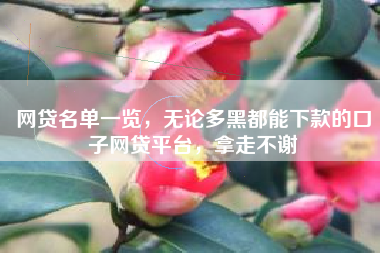 网贷名单一览，无论多黑都能下款的口子网贷平台，拿走不谢