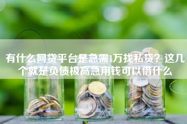 有什么网贷平台是急需1万找私贷?这几个就是负债极高急用钱可以借什么 有什么网贷平台是急需1万找私贷?这几个就是负债极高急用钱可以借什么