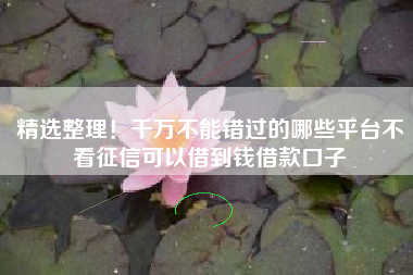 精选整理！千万不能错过的哪些平台不看征信可以借到钱借款口子