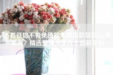 不看征信不看负债的大额贷款贷款app有哪些？精选整理分享几个借款平台