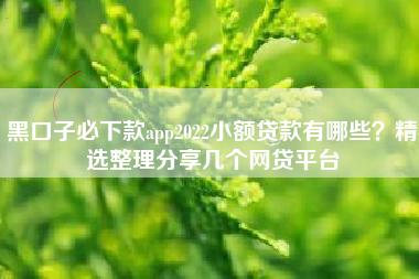 黑口子必下款app2022小额贷款有哪些？精选整理分享几个网贷平台