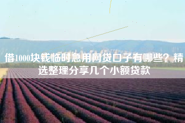 借1000块钱临时急用网贷口子有哪些？精选整理分享几个小额贷款