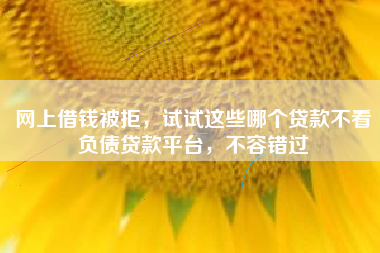 网上借钱被拒，试试这些哪个贷款不看负债贷款平台，不容错过