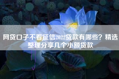 网贷口子不看征信2022贷款有哪些?精选整理分享几个小额贷款 网贷口子不看征信2022贷款有哪些?精选整理分享几个小额贷款