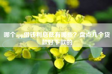 哪个app借钱利息低有哪些？盘点几个贷款好下款的