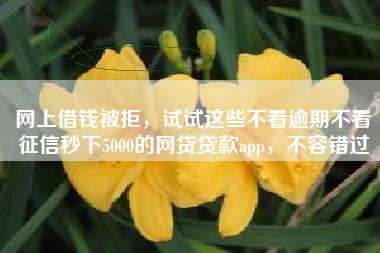 网上借钱被拒,试试这些不看逾期不看征信秒下5000的网贷贷款app,不容错过 网上借钱被拒,试试这些不看逾期不看征信秒下5000的网贷贷款app,不容错过