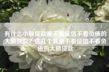 有什么小额贷款是不看征信不看负债的大额贷款?这几个就是不看征信不看负债的大额贷款 有什么小额贷款是不看征信不看负债的大额贷款?这几个就是不看征信不看负债的大额贷款