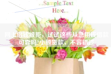 网上借钱被拒,试试这些从急用钱借款可靠吗?小额贷款,不容错过 网上借钱被拒,试试这些从急用钱借款可靠吗?小额贷款,不容错过