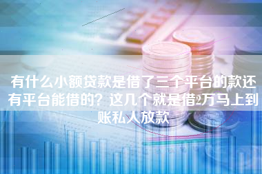 有什么小额贷款是借了三个平台的款还有平台能借的？这几个就是借2万马上到账私人放款