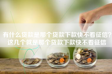 有什么贷款是那个贷款下款快不看征信？这几个就是那个贷款下款快不看征信