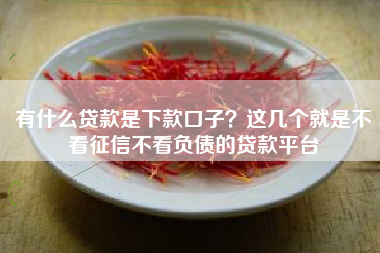 有什么贷款是下款口子？这几个就是不看征信不看负债的贷款平台