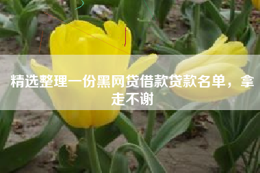 精选整理一份黑网贷借款贷款名单，拿走不谢