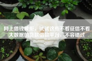 网上借钱被拒，试试这些不看征信不看大数据的贷款借款平台，不容错过