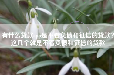 有什么贷款app是不看负债和征信的贷款？这几个就是不看负债和征信的贷款