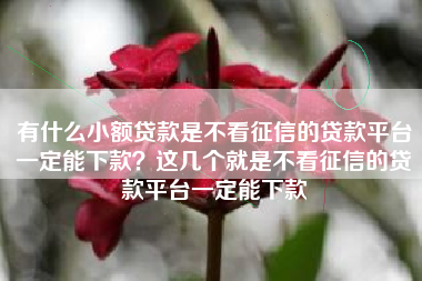 有什么小额贷款是不看征信的贷款平台一定能下款？这几个就是不看征信的贷款平台一定能下款