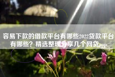 容易下款的借款平台有哪些2022贷款平台有哪些?精选整理分享几个网贷app 容易下款的借款平台有哪些2022贷款平台有哪些?精选整理分享几个网贷app