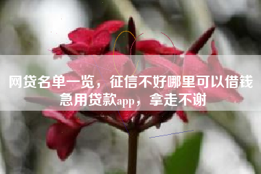 网贷名单一览,征信不好哪里可以借钱 急用贷款app,拿走不谢 网贷名单一览,征信不好哪里可以借钱 急用贷款app,拿走不谢