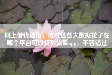 网上借钱被拒，试试这些大数据花了在哪个平台可以贷款贷款app，不容错过