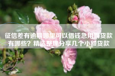 征信差有逾期哪里可以借钱急用啊贷款有哪些？精选整理分享几个小额贷款