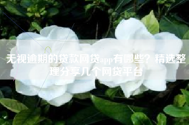 无视逾期的贷款网贷app有哪些？精选整理分享几个网贷平台
