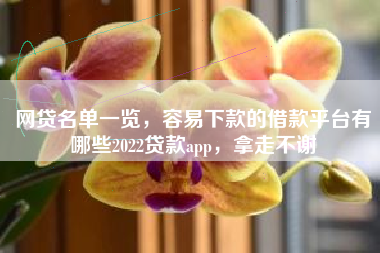 网贷名单一览，容易下款的借款平台有哪些2022贷款app，拿走不谢