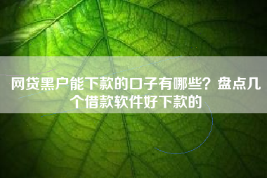 网贷黑户能下款的口子有哪些？盘点几个借款软件好下款的